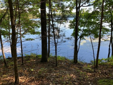 Arbutus Lake - Oneida County Lot For Sale in Eagle River Wisconsin