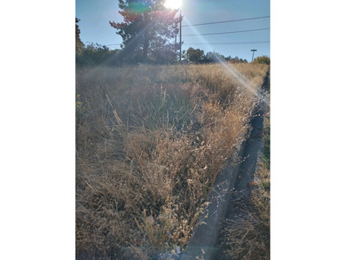 Upper Klamath Lake Lot For Sale in Klamath Falls Oregon