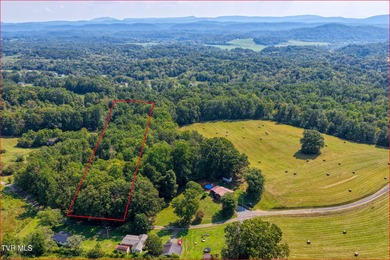 Holston River - Hawkins County Acreage For Sale in Rogersville Tennessee