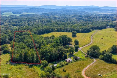 Holston River - Hawkins County Acreage For Sale in Rogersville Tennessee