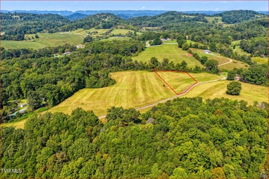 Holston River - Hawkins County Acreage Sale Pending in Rogersville Tennessee