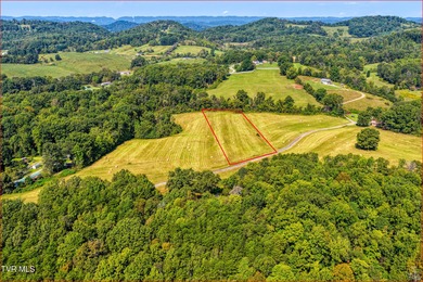 Holston River - Hawkins County Acreage For Sale in Rogersville Tennessee