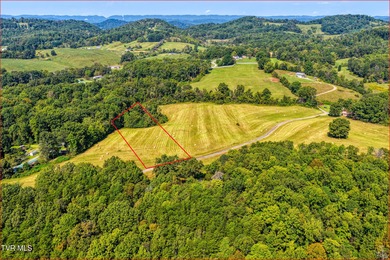 Holston River - Hawkins County Acreage Sale Pending in Rogersville Tennessee