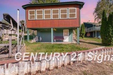 Lake Home For Sale in Beaverton, Michigan