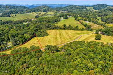 Holston River - Hawkins County Lot Sale Pending in Rogersville Tennessee
