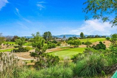 Owned Solar! Views! EV Ready! Stunning 5BR/3BA home in Hidden - photo 27