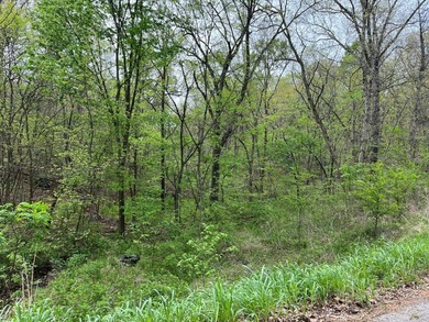MOUNTAIN ACREAGE FOR SALE BEAUTIFUL WOODED 3.5 ACRES +/- READY - photo 3