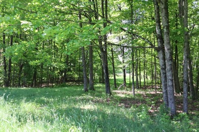 Sitting on a peaceful country road is this beautiful farming and - photo 9