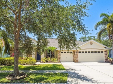 Lake Home For Sale in Riverview, Florida