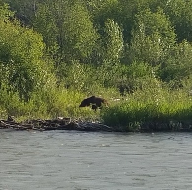 It's not every day that a unique premium riverfront property - photo 1