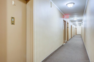 Sunny & spacious, Alcove Studio / one bathroom apartment. The - photo 6