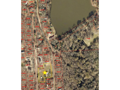 These lots offer a great opportunity for someone who enjoys lake - Lake Home For Sale in Alba, Texas