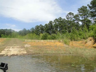 2.076 Acre Lot with 101.98 feet of waterfront available at - Lake Acreage For Sale in Hemphill, Texas