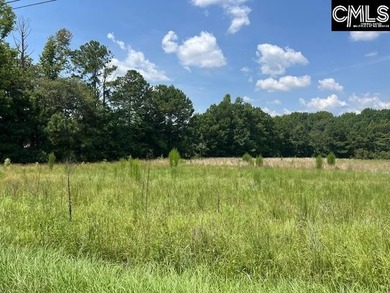 (private lake, pond, coastal) Acreage For Sale in Columbia South Carolina