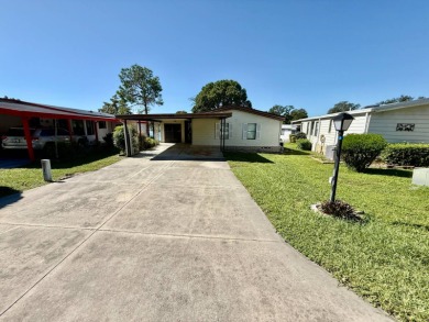 Lake Home For Sale in Lady Lake, Florida