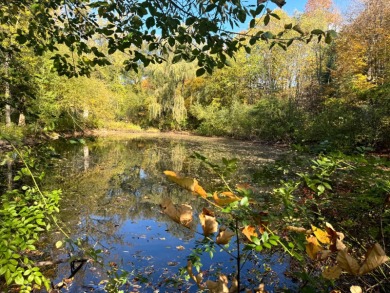 (private lake, pond, creek) Acreage For Sale in Orwell New York