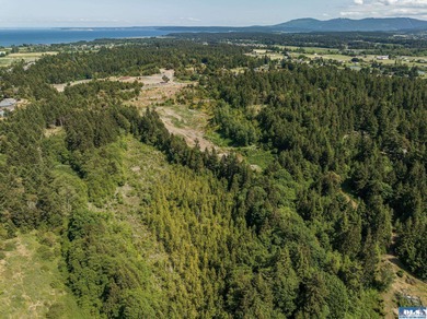 Strait Juan de Fuca  Acreage For Sale in Sequim Washington