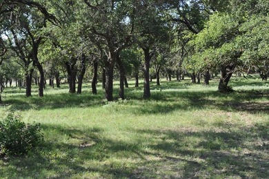 Lake Acreage For Sale in Harper, Texas