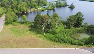 Lake Mohawksin Lot For Sale in Tomahawk Wisconsin