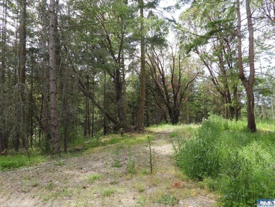 Strait Juan de Fuca  Acreage For Sale in Sequim Washington