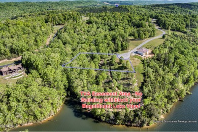 Come and Build You're Dream Home on 40K+ Acre Magnificent Watts - Lake Lot For Sale in Spring City, Tennessee