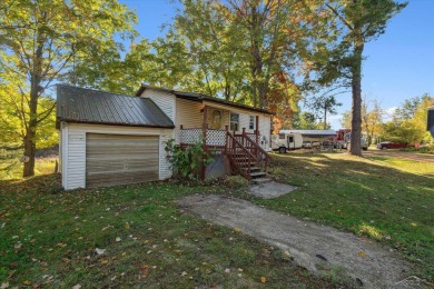 Lake Home For Sale in Beaverton, Michigan
