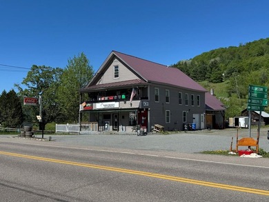 Set in the heart of the Village of East Randolph, this historic - photo 3