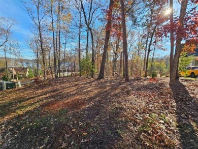 Lake Hartwell Lot For Sale in Toccoa Georgia