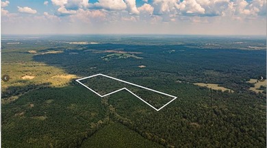 Lake Acreage For Sale in Avinger, Texas