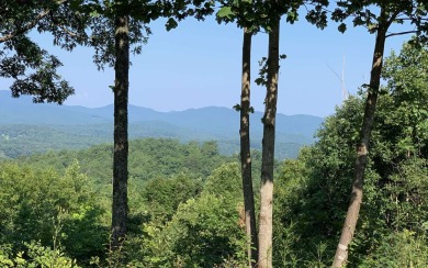 BIG MOUNTAIN & VALLEY VIEWS IN THE MOUNTAINS OF NORTH CAROLINA!! - Lake Lot For Sale in Hayesville, North Carolina