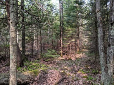 Flambeau River - Price County Acreage For Sale in Park Falls Wisconsin
