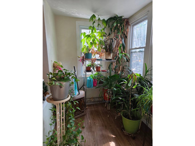 First time on market. One of a kind Boro Park home. 1 family - photo 3