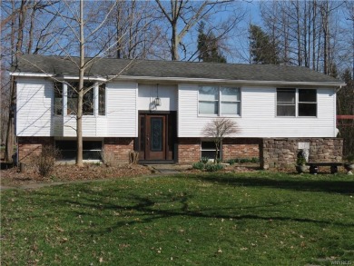 Lake Home Off Market in Brant, New York