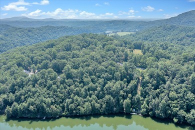 Lake Lot Off Market in Hardy, Virginia