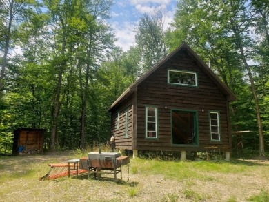 Camp on Cook Pond, Cranberry Lake Area
 - Lake Acreage For Sale in Clifton, New York