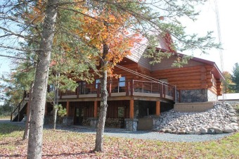 (private lake) Home For Sale in Randville Michigan