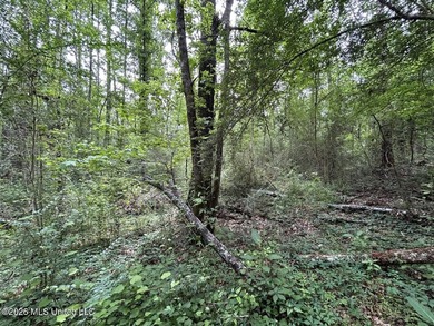 Tucked away on a quiet dead-end road in Liberty, Mississippi - photo 16
