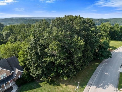 Discover the perfect setting for your dream home in the - photo 16
