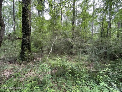 Tucked away on a quiet dead-end road in Liberty, Mississippi - photo 17