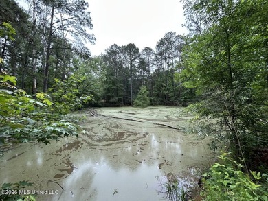 Tucked away on a quiet dead-end road in Liberty, Mississippi - photo 18