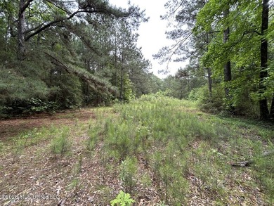 Tucked away on a quiet dead-end road in Liberty, Mississippi - photo 19