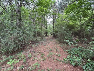 Tucked away on a quiet dead-end road in Liberty, Mississippi - photo 20