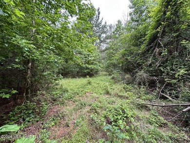 Tucked away on a quiet dead-end road in Liberty, Mississippi - photo 21