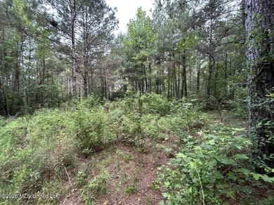 Tucked away on a quiet dead-end road in Liberty, Mississippi - photo 22