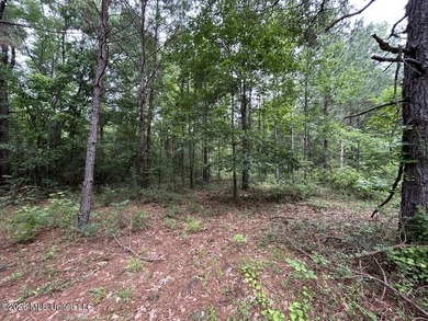 Tucked away on a quiet dead-end road in Liberty, Mississippi - photo 23