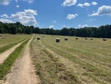 (private lake, pond, creek) Home Sale Pending in Birch Tree Missouri