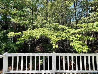 Lakefront living on beautiful Weiss Lake! This well-maintained - photo 41