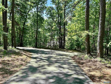 Lakefront living on beautiful Weiss Lake! This well-maintained - photo 47