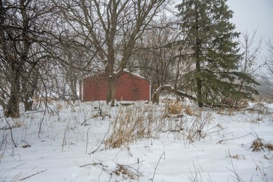 Look no further for your future building site or tranquil - photo 3