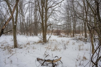 Look no further for your future building site or tranquil - photo 4